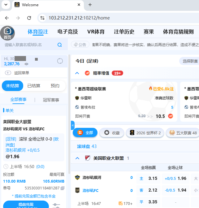 投注100.png