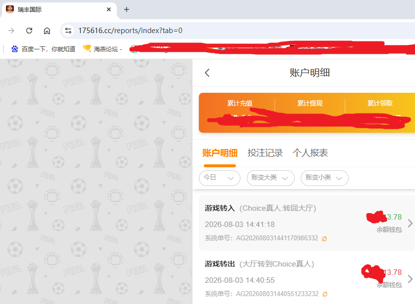瑞丰国际资金图.png