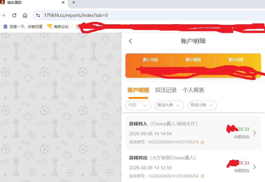 瑞丰国际.png