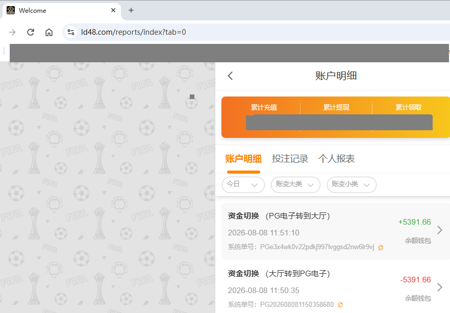 资金图333333.png
